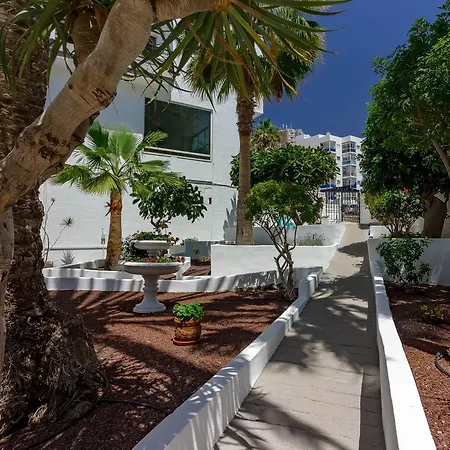 Estrella 1a021 Los Cristianos (Tenerife)